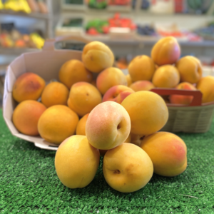 Abricots Provence Epicerie Long