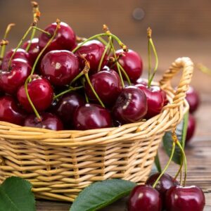 1 barquette de 500gr de cerises - provence