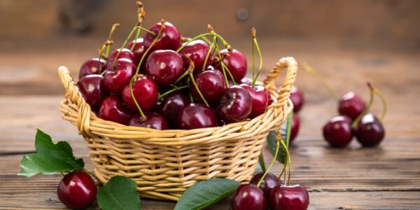 1 barquette de 500gr de cerises - provence