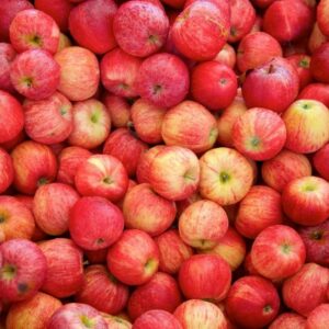 1 kgs pommes gala - provence