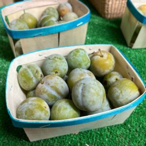 500 grammes prunes reine claude - provence